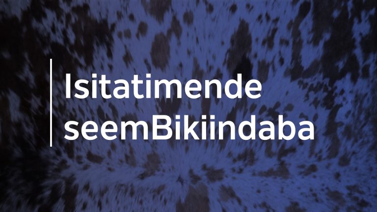 Abadosiphambili ababuya emiphakathini ehlukahlukeneko eraga amasiko bayasebenzisana eNgcocweni yeliZwe loke nangemva kwayo