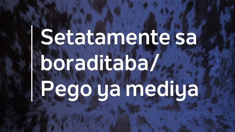 Baetapele go tšwa go dihlopha tša merafe ya ditšo tše di fapanego ba tla šomišana ka go National Dialogue/Poledišano ya Bosetšhaba le go feta le fao