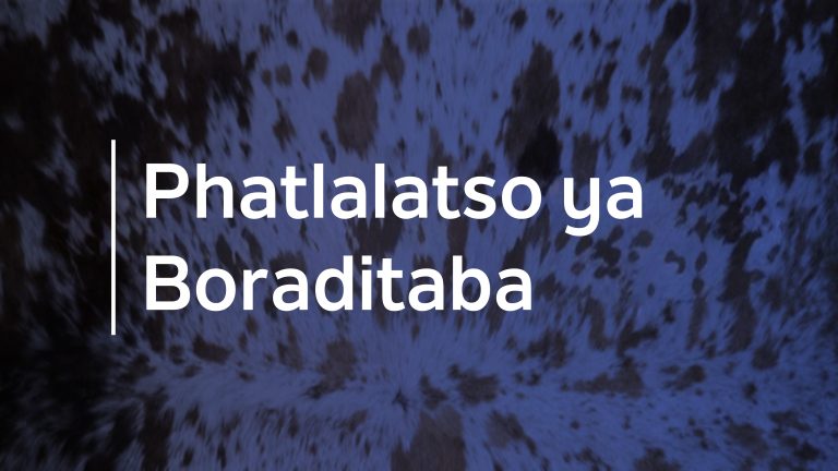 Baetapele ho hlaha baahing ba fapaneng ba ditso tse fapaneng ba tla sebedisana Puisanong ya Naha le ho feta moo