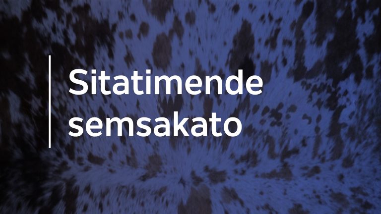 Baholi bemiphakatsi leyehlukahlukene yemasiko kuze basebentisane kuNkhulumiswano yeSive nangemuvakwaloko