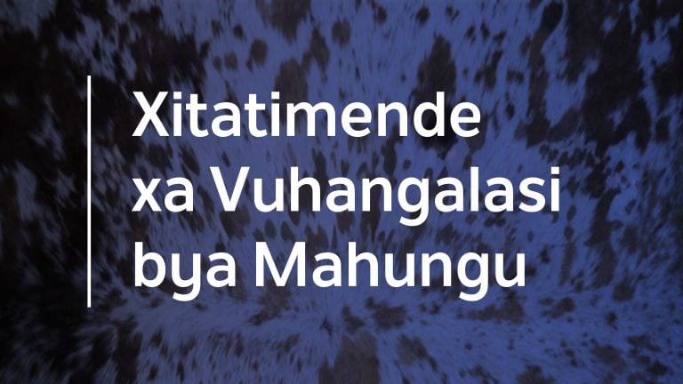 Varhangeri lava humaka eka miganga ya mindhavuko yo hambana ku tirhisana eka mbulavurisano wa rixaka na ku tlula