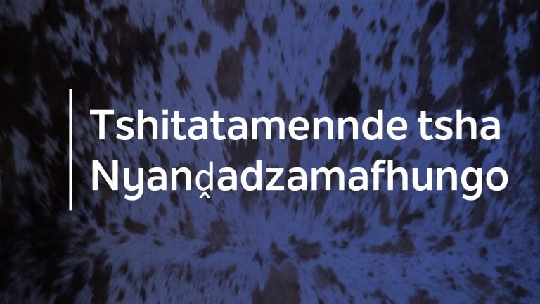 Vharangaphanḓa vha zwitshavha zwa mvelele dzi sa fani vha shumisana kha Nyambedzano ya Lushaka na nga murahu hayo